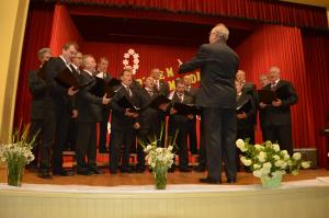 Pesem pomladi v Bočni 5